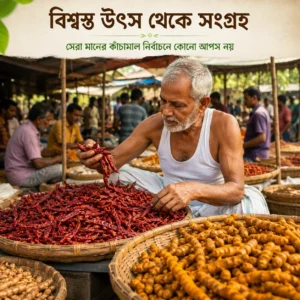 FreshPalli-এর জন্য একজন অভিজ্ঞ বাবা স্থানীয় হাট থেকে খাঁটি মরিচ ও হলুদ বাছাই করছেন