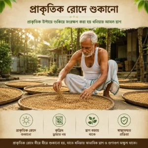 FreshPalli Premium Coriander Powder Preparation Process